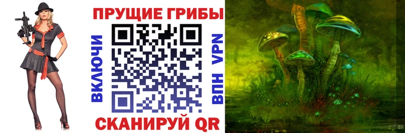Псилоцибиновые грибы мухоморы Истра
